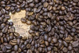 Productores de Jun&iacute;n enviar&aacute;n 35 toneladas de caf&eacute; especial al Reino Unido