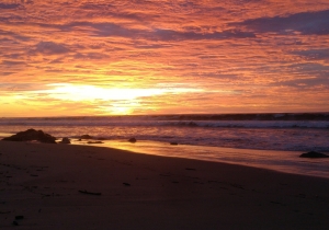 Conoce las delicadas playas de Punta Sal