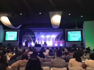 El futuro del viajero &eacute;tico en el Social and Sustainable Tourism Summit 2017