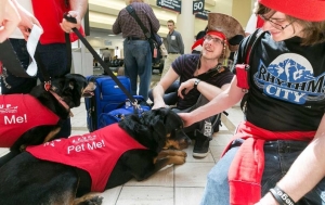 Terapeutas de cuatro patas en los aeropuertos de Estados Unidos