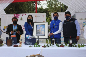 Ica y Arequipa promocionan campa&ntilde;a para impulsar la reactivaci&oacute;n del turismo en sus regiones