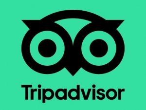 Tripadvisor supera las expectativas y ronda los 200 millones de ingresos