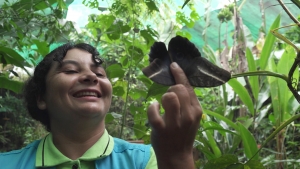 Mujeres exitosas: Mariposario &ldquo;Morpho Azul&rdquo; se consolida como destino de turismo rural comunitario en la regi&oacute;n San Mart&iacute;n