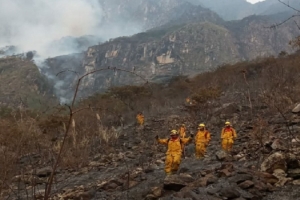 Controlan incendio forestal en el Santuario Hist&oacute;rico de Machu Picchu-Cusco