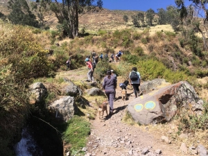 Salida Petfriendly - Lagunas Gemelas