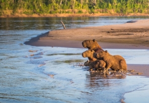 Naturaleza y conservaci&oacute;n: el turismo que conecta con el entorno