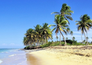 24 playas dominicanas son galardonadas con la &lsquo;Bandera Azul&rsquo;, 23 son privadas