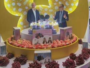 Dulces con ar&aacute;ndanos peruanos llegan a Disneyland Shangh&aacute;i