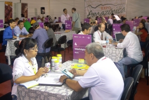 Empresarios internacionales conocer&aacute;n lo mejor de nuestra oferta exportable en Expoamaz&oacute;nica 2017