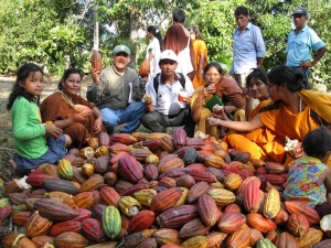 Se inicia IX Festival Nacional del Cacao Nativo Pangoa &ndash; 2018