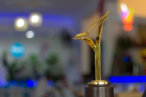Premio &ldquo;Cuchara peruana de oro&rdquo; se entregar&aacute; en el festival gastron&oacute;mico por el d&iacute;a del cebiche que se realizar&aacute; en el Parque de la Exposici&oacute;n
