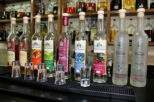 Exportaciones de Pisco registran crecimiento de 57 % en &uacute;ltimos cuatro a&ntilde;os