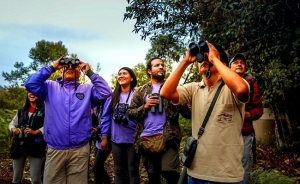 Primera edici&oacute;n de &lsquo;Cazadores de Aventuras&rsquo; promovi&oacute; actividades de naturaleza y aventura en San Mart&iacute;n y Amazonas entre peruanos