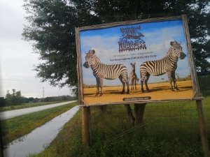 Disfrute de un Safari al natural en la zona de Florida Central