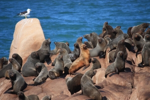 Ecoturismo en Uruguay