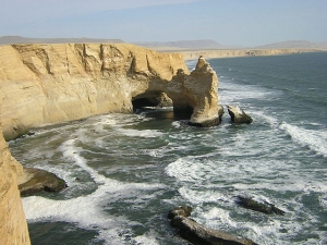 Una reserva natural en Paracas