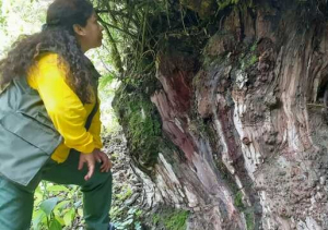 Conoce estas historias de mujeres que protegen a la Madre Naturaleza
