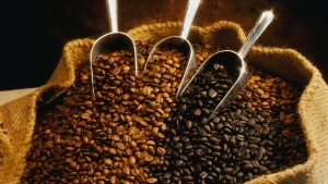 El verdadero caf&eacute;, m&aacute;s all&aacute; de su aroma y sabor
