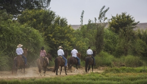 Proh&iacute;ben paseos en caballo en Sacsayhuam&aacute;n ante deterioro de la zona