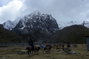 El caballo psic&oacute;logo de Huayllapa
