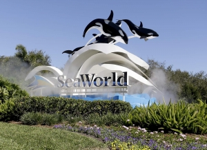 SeaWorld Parks anuncia el cierre de todos los parques del grupo hasta el fin del presente mes