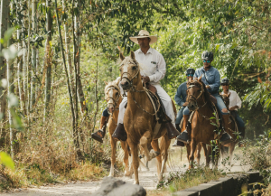 Luna&acute;s Horses: cabalgatas en Cusco con caballos peruanos de paso