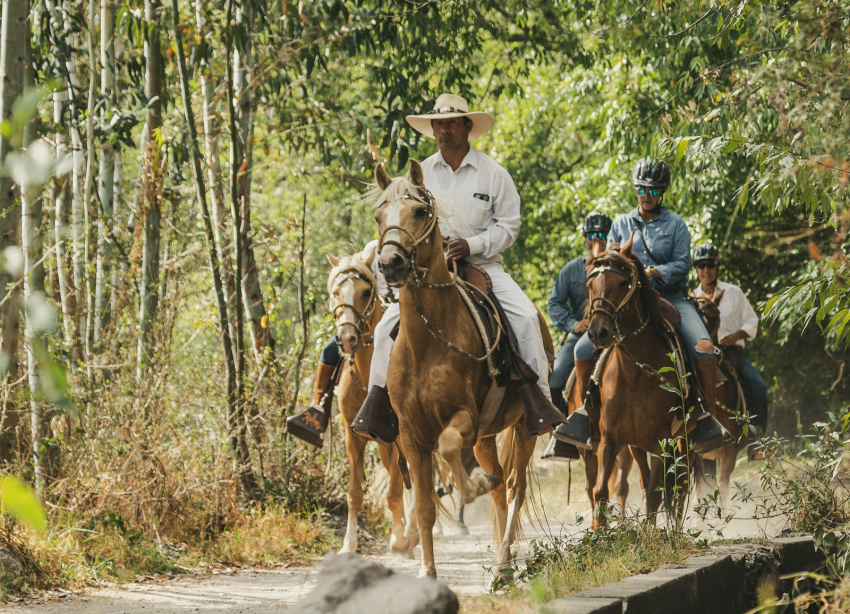 Luna´s Horses: cabalgatas en Cusco con caballos peruanos de paso