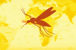 OMS recomienda vacunarse contra la fiebre amarilla a quienes viajen a Brasil