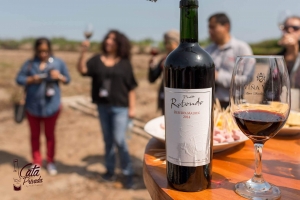 Bodegas de Lima, Ica, Arequipa, Moquegua y Tacna participar&aacute;n en la II edici&oacute;n del festival del vino peruano