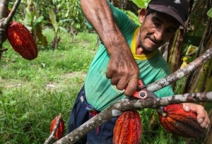As&iacute; se apoyar&aacute; a los peque&ntilde;os productores que abastecen al Per&uacute; y el mundo
