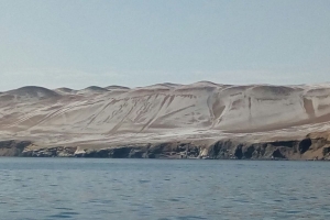 Ministerio de Cultura descarta da&ntilde;os en El Candelabro de Paracas tras intensas lluvias