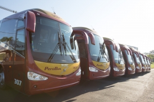 Reflotan Per&uacute; Bus, tras liquidaci&oacute;n de Soyuz