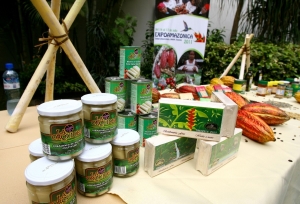 ExpoAmaz&oacute;nica 2017 promover&aacute; los atractivos tur&iacute;sticos de San Mart&iacute;n