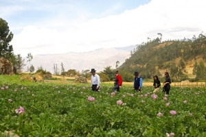 En Fiestas Patrias: vive nuevas experiencias descubriendo un nuevo lado del Per&uacute; con el Turismo Rural Comunitario