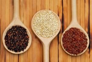 Libro internacional de los granos andinos saldr&aacute; al mercado gastron&oacute;mico en el 2019