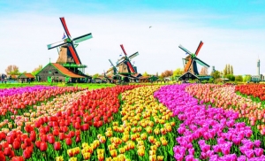 Gu&iacute;a contra turismo masivo en &Aacute;msterdam: boda con holand&eacute;s o paseo en patera
