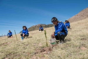 Belmond premia a colegios de Maras y Paruro por plantar 13 mil árboles en Cusco