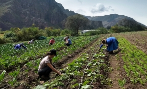 Amak Per&uacute; Hoteles lanza campa&ntilde;a conjunta &ldquo;Turismo por la Agroecolog&iacute;a&rdquo; en los destinos de Iquitos y Valle Sagrado de los Incas