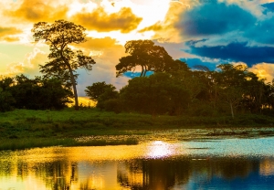 Compra de vuelos a Iquitos creci&oacute; un 67% en lo que va del a&ntilde;o, seg&uacute;n Atr&aacute;palo.pe