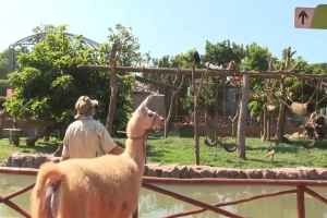 Dise&ntilde;an innovador parque tem&aacute;tico en Oxapampa para impulsar educaci&oacute;n y turismo