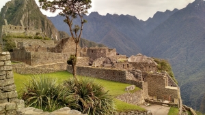 CANATUR: &ldquo;No existe reactivaci&oacute;n econ&oacute;mica ya que FAE Turismo a&uacute;n no funciona&rdquo;