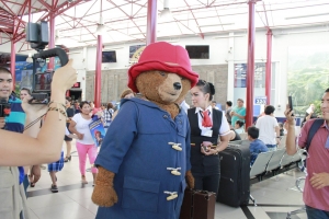 CRUZ DEL SUR, transporte oficial del Oso Paddigton