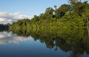 Per&uacute; cuenta con una nueva &aacute;rea natural protegida: Parque Nacional Yaguas