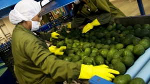 Pa&iacute;ses asi&aacute;ticos ingresaron al top 5 de los principales destinos de exportaci&oacute;n de Per&uacute;