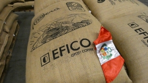 Marca &ldquo;Caf&eacute;s del Per&uacute;&rdquo; arriba por primera vez al mercado internacional