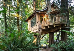 Barry Sternlicht anuncia Treehouse Hotels, una nueva clase de maravilla total