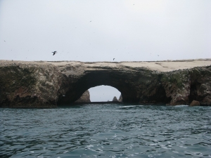Paracas tu mejor destino