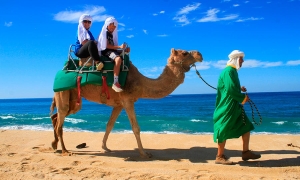 Verano 2020: te damos cinco razones para viajar a Los Cabos
