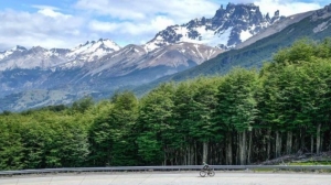 Turismo rural en Chile atrajo a 35,000 personas en la &uacute;ltima temporada