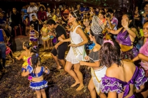 Festival de la Vendimia en Paracas congreg&oacute; a m&aacute;s de 20,000 personas